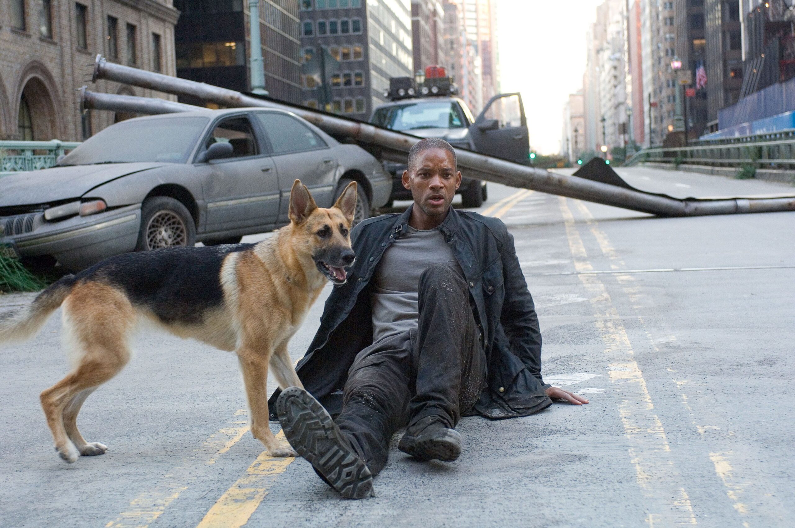 I Am Legend Sequel In The Works Legend Fm